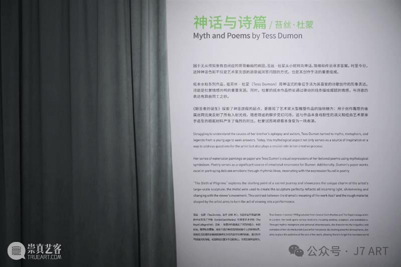 J7 ART | 艺术家聚焦 | 苔丝·杜蒙 Tess Dumon 视频资讯 J7 ART 艺术家 苔丝 杜蒙 Dumon ART 空间 姿态 国内外 当代艺术家 房间 崇真艺客